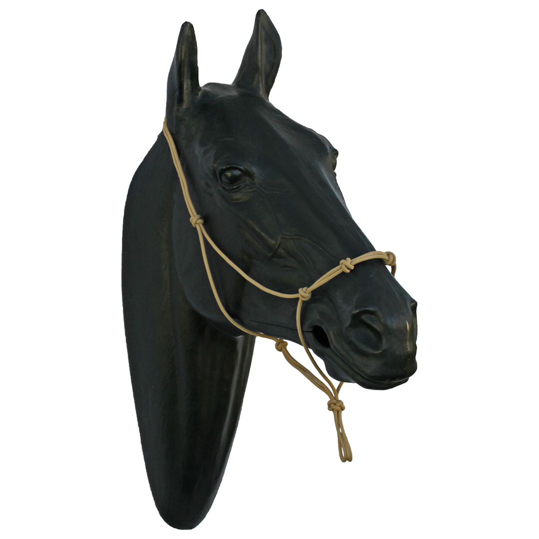 Horse hotsell Tack, PasoFino Bit SS 5